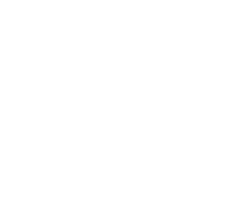 PAH Logo